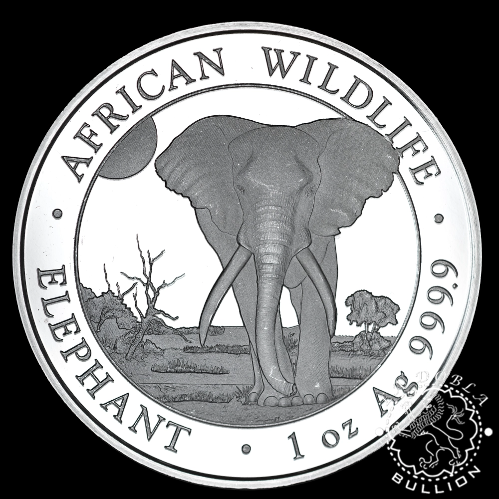 Moneda de Plata Elefante 1 oz BU – Somalia – 2025 - Anverso