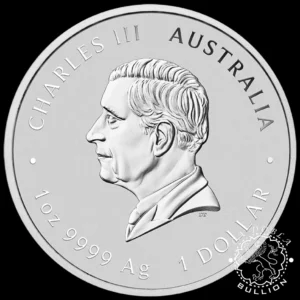 Moneda de Plata Serie Lunar III Serpiente 1 oz Coloreada - Australia - 2025 - Anverso