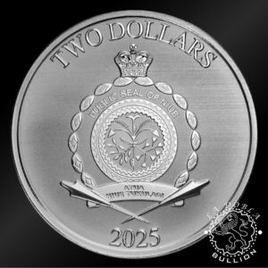 Moneda de Plata Disney Tío Gilito 1 oz BU - Niue - 2025 - Anverso